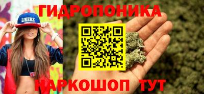 дурь Гусь-Хрустальный