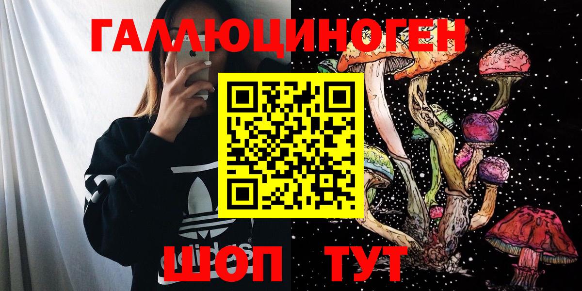 Галлюциногенные грибы мухоморы Новокубанск