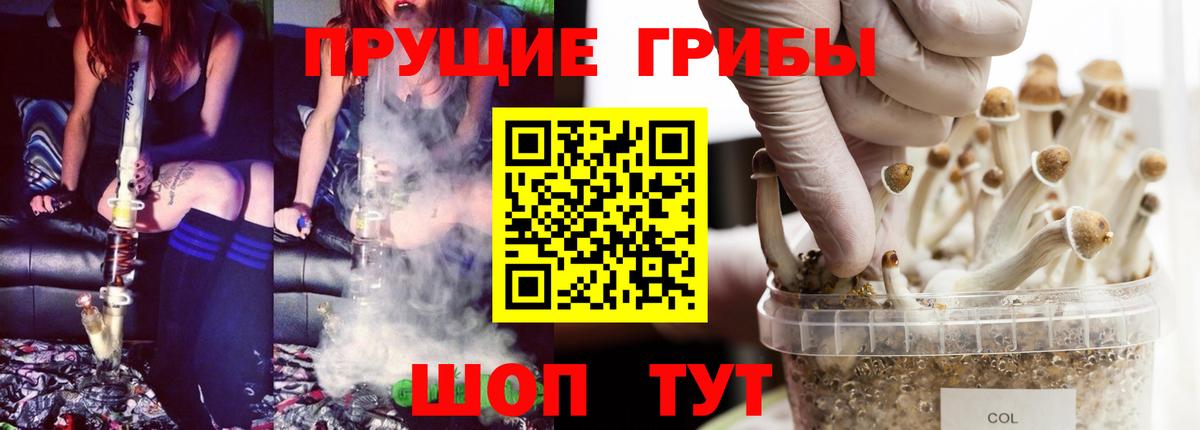 Галлюциногенные грибы GOLDEN TEACHER  Вход с VPN  Новокубанск 